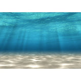 Allenjoy Undeer the Sea Summer Photography Backdrop - Allenjoystudio