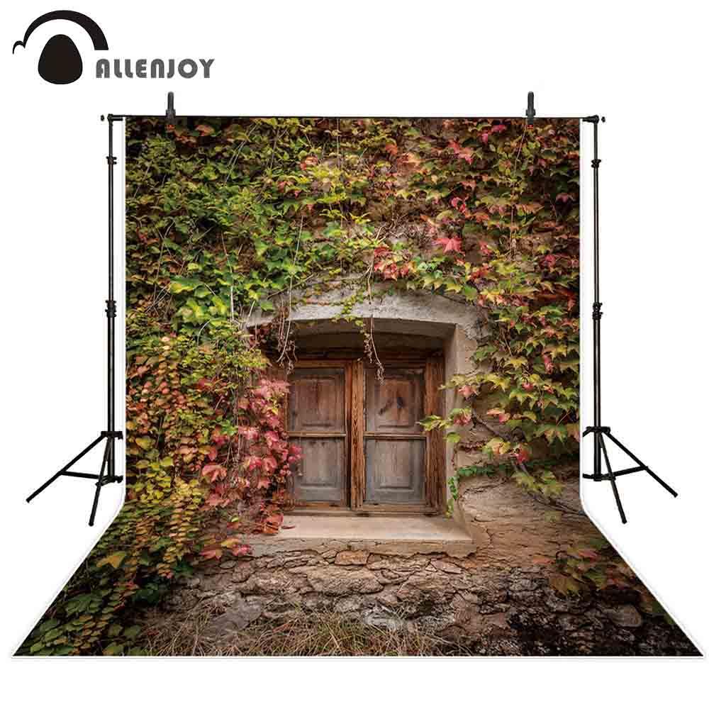 Allenjoy Photography Background Colorful Plants Mottled Stone Wall Wooden Window Backdrop - Allenjoystudio