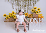 Allenjoy Sunflower Cakesmash Backdrop Designed by Panida Phillips