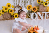 Allenjoy Sunflower Cakesmash Backdrop Designed by Panida Phillips - Allenjoystudio