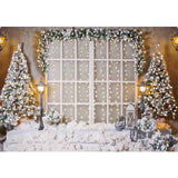 Allenjoy White Window Backdrop for Christmas Family Portrait