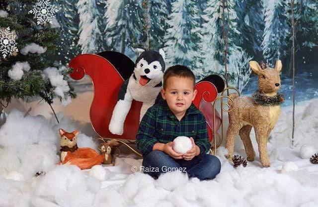 Allenjoy Winter Backdrop Pine Forest Snowy Wonderland Christmas Backdrop - Allenjoystudio