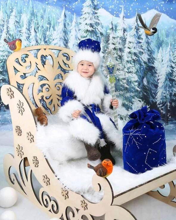 Allenjoy Winter Backdrop Pine Forest Snowy Wonderland Christmas Backdrop - Allenjoystudio