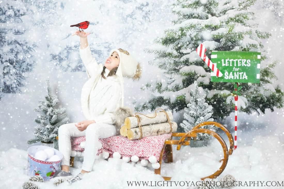 Allenjoy Winter Snowflake Snowfield Forest Backdrop - Allenjoystudio