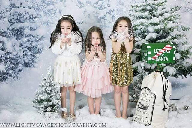 Allenjoy Winter Snowflake Snowfield Forest Backdrop - Allenjoystudio