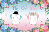 Allenjoy He Or She Elephant Gender Reveal Backdrop