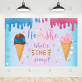 Allenjoy Ice Cream He Or She Gender Reveal Backdrop