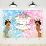 Allenjoy Prince Or Princess Gender Reveal Backdrop