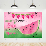 Allenjoy Melon Theme Happy Birthday Party Backdrop