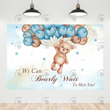 Allenjoy Teddy Bear Baby Shower Backdrop