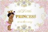 Allenjoy A Little Princess Is One Her Way Birthday Party Backdrop