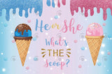 Allenjoy Ice Cream He Or She Gender Reveal Backdrop