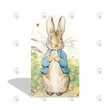 Allenjoy Peter Rabbit Birthday Baby Shower Party Arch Backdrop Wall Cloth Cover