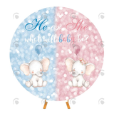 Allenjoy Gender Reveal Party Circle Backdrop Cover