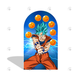 Allenjoy Dragon Ball Theme Birthday Party Arch Backdrop Wall Cloth Cover