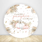 Allenjoy A Sweet Little Pumpkin Is On The Way Baby Shower Party Backdrop