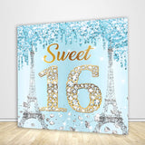 Allenjoy Blue Green 16Th Birthday Sign Backdrop