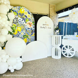 Allenjoy Chiara Backdrop Wall Set Arched Wall Set Birthday&Baby Shower&Wedding Party Decoration