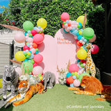 Allenjoy Chiara Backdrop Wall Set Arched Wall Set Birthday&Baby Shower&Wedding Party Decoration