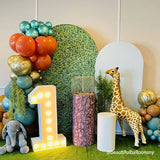 Allenjoy Chiara Backdrop Wall Set Arched Wall Set Birthday&Baby Shower&Wedding Party Decoration
