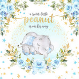 Allenjoy Little Peanut Baby Shower Boy Backdrop