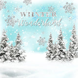 Allenjoy Personalized Winter Wonderland Backdrop