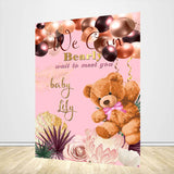 Allenjoy Teddy Bear Baby Shower Theme Backdrop