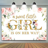 Allenjoy A Sweet Little Girl Is On The Way Baby Shower Backdrop