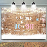 Allenjoy Baby Its Cold Outside Gender Reveal Baby Shower Backdrop