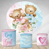 Allenjoy Blue And Pink Teddy Bear Round Baby Shower Backdrop 1