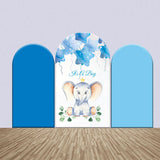 Allenjoy Blue Cute Elephant Boy Baby Shower Arch Backdrop Kit