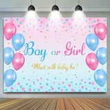 Allenjoy Blue Pink Balloon Star Boho Gender Reveal Backdrop