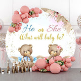 Allenjoy Boho Floral Leaves Bear Round Gender Reveal Backdrop