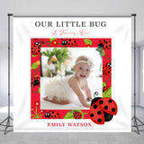 Allenjoy Customized Photo Red Ladybird Birthday Backdrop