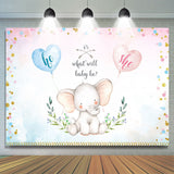 Allenjoy Cute And Lovely Elephant Gender Reveal Baby Shower