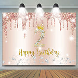 Allenjoy Glitter Rose Gold 2Nd Birthday Backdrop Girl