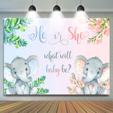 Allenjoy Green And Pink Elephant Gender Reveal Baby Shower