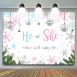 Allenjoy He Or She Silver Pellet Snowflake Baby Shower Backdrop