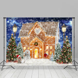 Allenjoy Lovely Gingerbread House And Snowman Christmas Backdrop