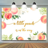 Allenjoy Lovely Peach And White Floral Baby Shower Backdrop