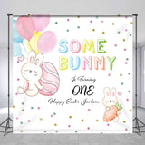 Allenjoy Some Bunny Easter Egg Custom 1St Birthday Backdrop