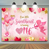 Allenjoy Sweetheart One Pink Balloon 1St Birthday Backdrop