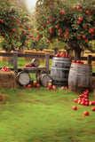 Allenjoy Autumn Apple Orchard Photography Backdrop Gbsx-00737