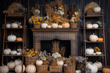 Allenjoy Autumn Boho Fireplace  Photography Backdrop GBSX-00132