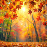 Allenjoy Autumn Bokeh Forest Tree Photography Backdrop Gbsx-00922