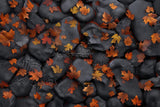Allenjoy Autumn Dark Stone Floor Photography Backdrop Gbsx-00919