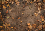 Allenjoy Autumn Dirt Leaves Ground Photography Backdrop Gbsx-00945