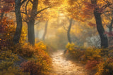 Allenjoy Autumn Dreamy Evening Path Photography Backdrop GBSX-00109