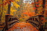 Allenjoy Autumn Forest Bridge Photography Backdrop GBSX-00103