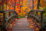 Allenjoy Autumn Forest Bridge Photography Backdrop GBSX-00141